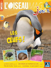 Couverture de l'OISEAU MAG JUNIOR n°16